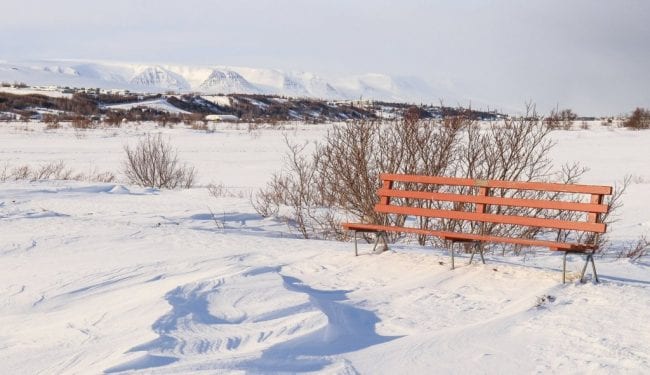 Mynd: María H. Tryggvadóttir