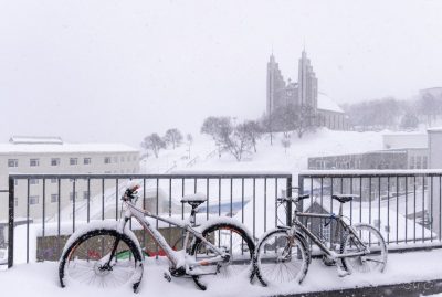 MERKJA MYND: María Helena Tryggvadóttir