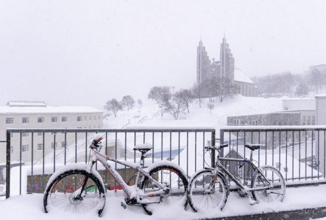 MERKJA MYND: María Helena Tryggvadóttir