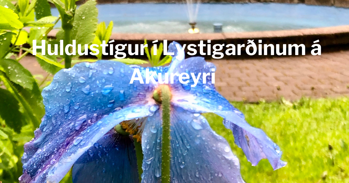 <strong><em>Huldustígur í Lystigarðinum á Akureyri</em></strong>