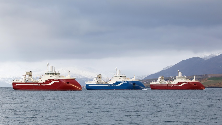 Segja óprúttna aðila hafa sent falsaða fréttatilkynningu og sett upp falska heimasíðu