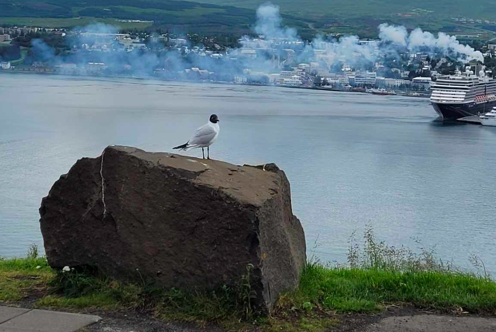 Reykmengun í Eyjafirði