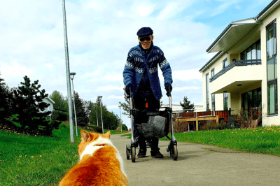 Minningarbekkur um Magnús og Bangsa