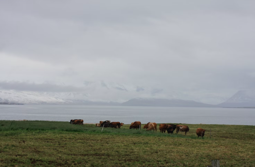 Búast má við að vindur mælist í stormstyrk norðan til á landinu í dag